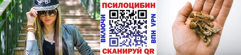 Галлюциногенные грибы GOLDEN TEACHER  Кореновск 
