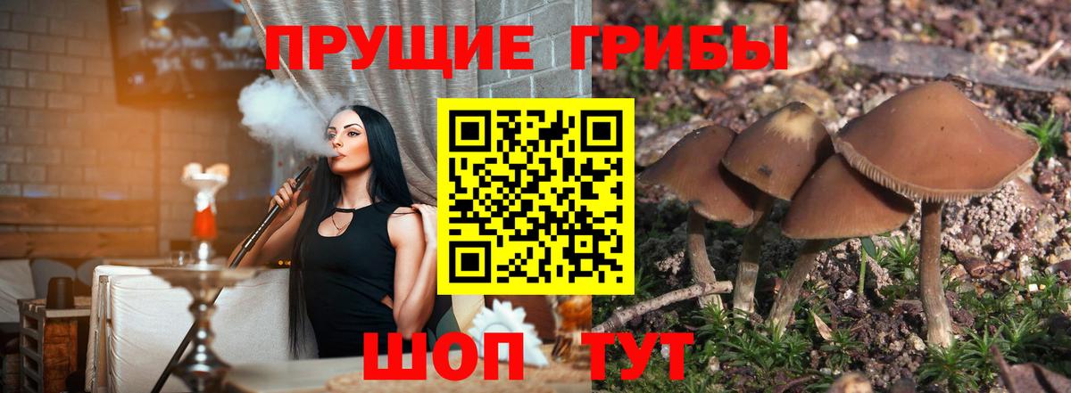 Галлюциногенные грибы мухоморы  Псилоцибиновые грибы ЛСД  Кореновск  Вход с VPN 